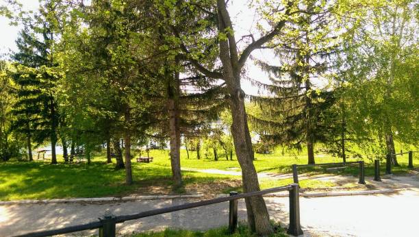 istock Park by the lake shore 1366581981