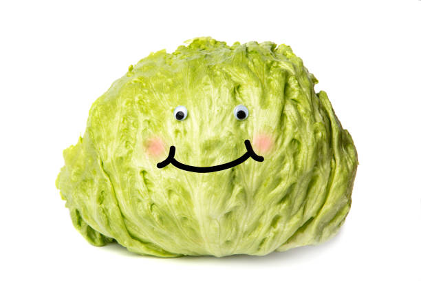 istock Happy Head of Lettuce 1366585448