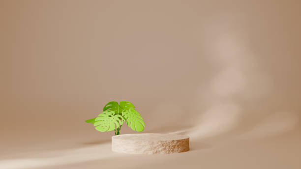 istock Circle rock podium brown pastel color with monster tree. 3D Rendering illustration. Mock-up showcase for product branding banner and cosmetics product. Product presentation minimal. 1366586302