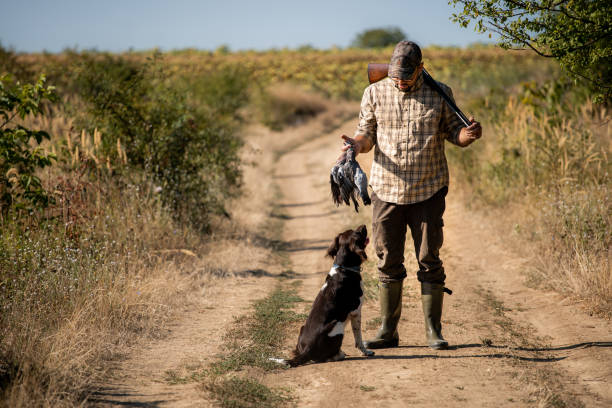 ハンターと彼の犬 - pheasant hunter ストックフォトと画像