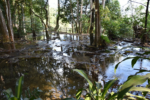 Peaceful jungle pool at the top of the Kuang Si main falls