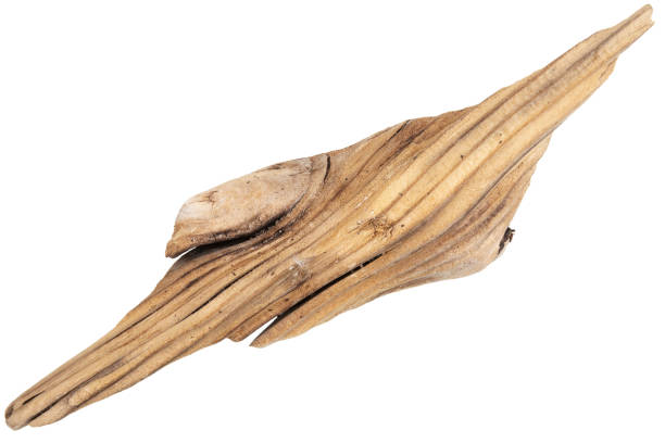 istock Piece of driftwood isolated on white 1366587136