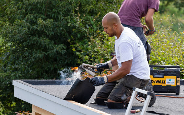 Two roofers applying bituminous roofing asphalt on a domestic garden shed stock photo