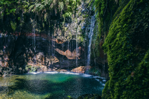 25 cascadas de fontes en las montañas cerca de rabaal y levada do risco en la isla de madeira durante un hermoso día de verano - madeira fotografías e imágenes de stock