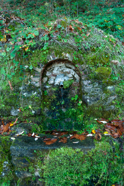 istock Natural stone spring water source with moss and vegetation in autumn 1366596126