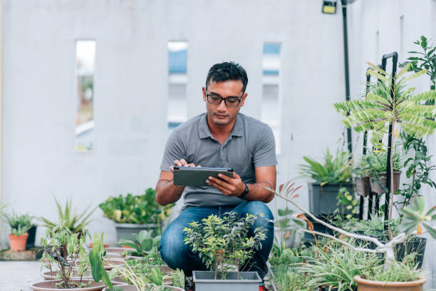 istock Mid aged Muslim man working on digital tablet at front yard garden 1366596136