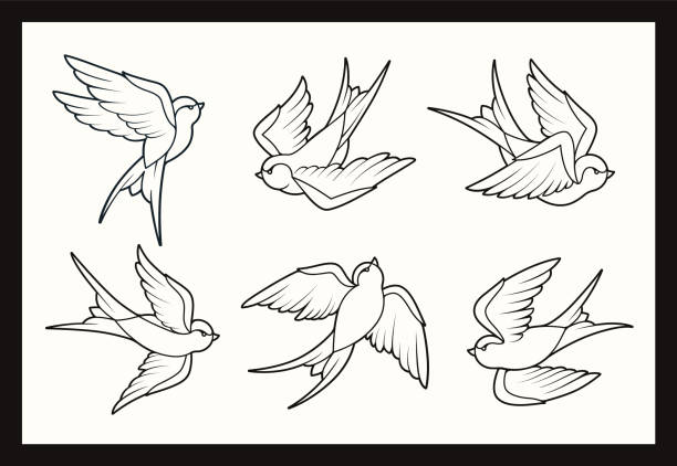 Old School Tattoo Swallow Birds Set Old school tattoo swallow birds set. Line art style vector birds. swallow bird stock illustrations