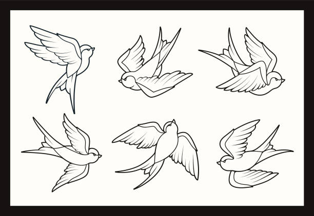 Old School Tattoo Swallow Birds Set Hình minh họa Sẵn có - Tải xuống Hình  ảnh Ngay bây giờ - Chim, Én, Phong cách retro - iStock