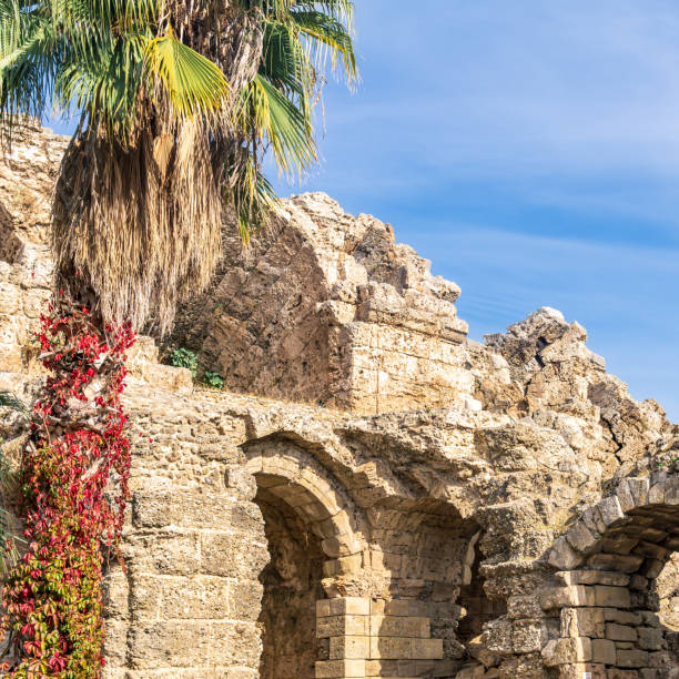 istock ancient ruins among tropical plants in Side, Turkey 1366598419