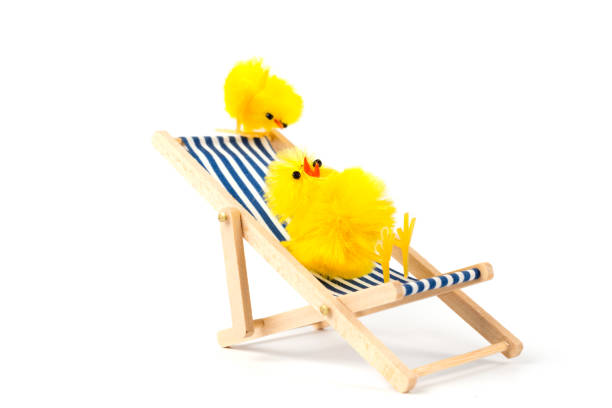 Easter Humor. Easter chick on a sun chair