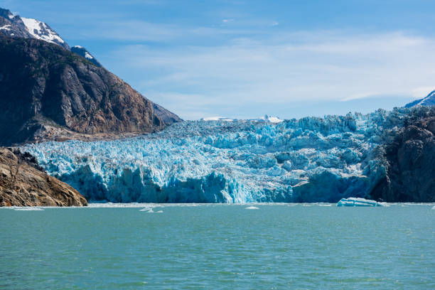 istock Majestic glacier meets the sea 1366601562