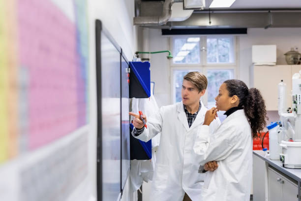 Two researchers discussing about chemical formula on whiteboard stock photo