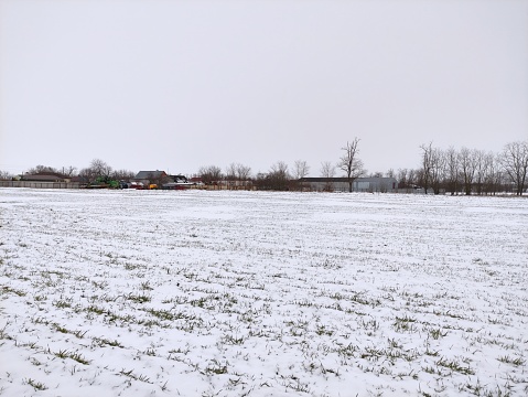 Agricultural field in the snow and a farm in background