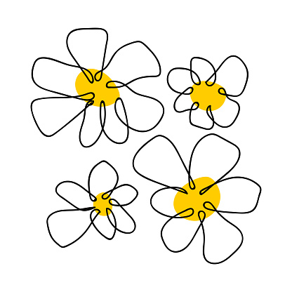 Vector line art hand drawn style minimalist flowers illustration
