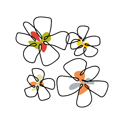 Vector line art hand drawn style minimalist floral bud illustration