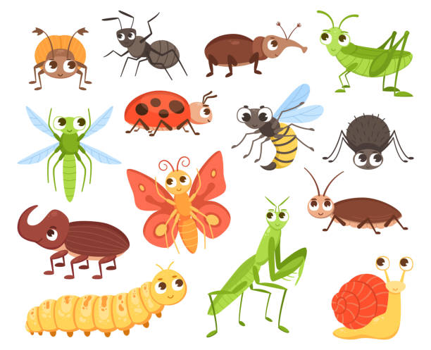 만화 곤충. 귀여운 버그 문자. 딱정벌레를 기어 다니거나 나비를 날아다니는 나비를 큰 눈으로 볼 수 있습니다. 메뚜기와 무당벌레. 곤충학 수집. 벡터 재미있는 동물 세트 - ant worm vector animal themes stock illustrations