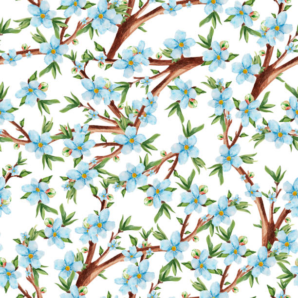ilustraciones, imágenes clip art, dibujos animados e iconos de stock de flor azul en el jardín acuarela patrón sin costuras - japanese maple maple tree leaf backgrounds