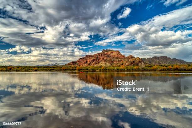 Salt River In Arizona Stock Photo - Download Image Now - Saguaro Cactus, Arizona, Tonto National Forest