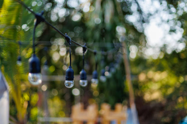 istock Old incandescent light bulbs, wrapped in a tree branch. The background is green bokeh. 1366610633