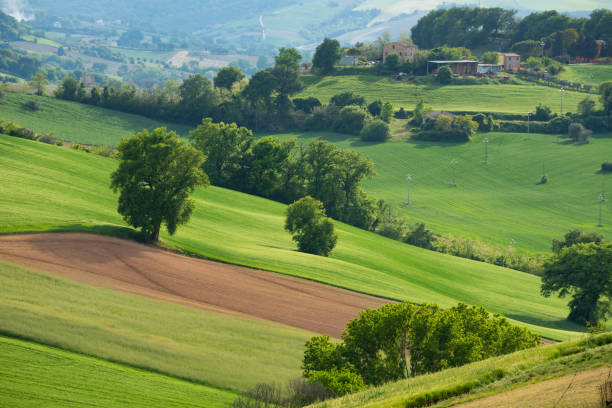 istock Rural landscape with farm fields and trees 1366611475