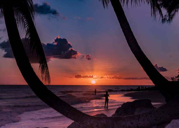 istock Silhouettes on the beach 1366612000
