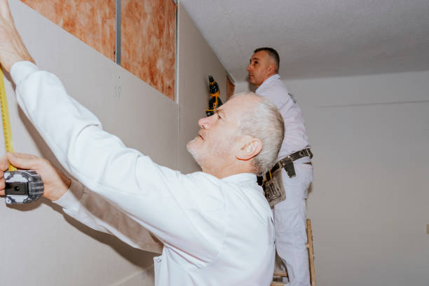 Two workers installing plasterboard panels with acoustic insulation. stock photo