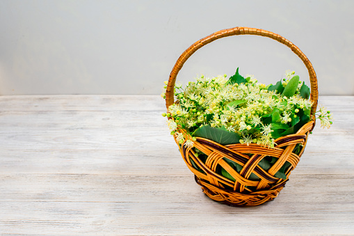 Wicker basket with linden flowers on a wooden background. Linden flowers