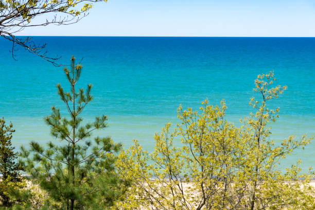 Winter day landscape of the sun reflecting off a peaceful Lake Michigan beyond silhouetted trees on a bluff near Grafton, Wisconsin.