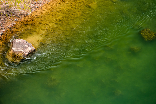 Ripples And Boulder In The Bright Green Colorado River in the Grand Canyon