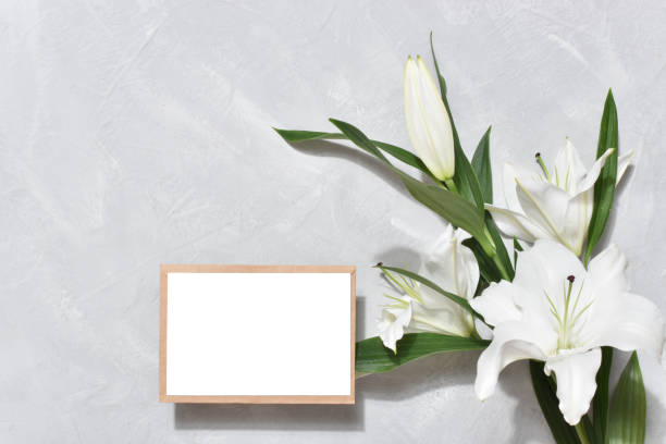 istock The template is a blank paper and an envelope with space for text on a gray background with lily flowers. Flat top view, a place to copy. 1366616266
