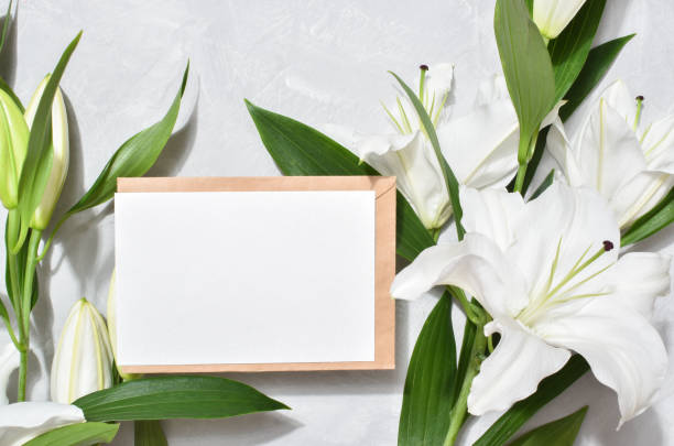 istock The template is a blank paper and an envelope with space for text on a gray background with lily flowers. Flat top view, a place to copy 1366616285