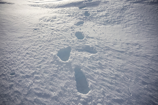 Human footprints in  snow  background