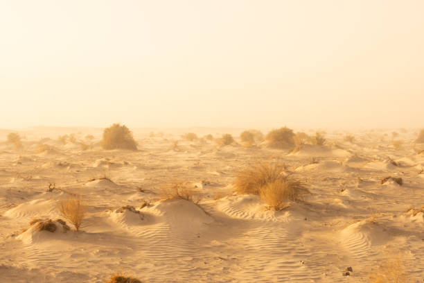 istock Standing In A Dust Storm In Death Valley 1366616625