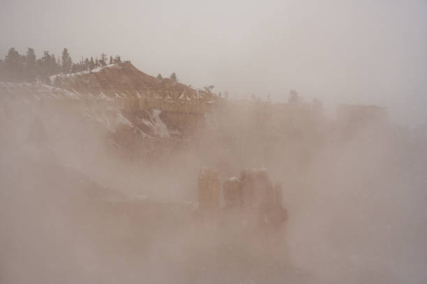 Thick Fog Fills Bryce Amphitheater  during winter storm