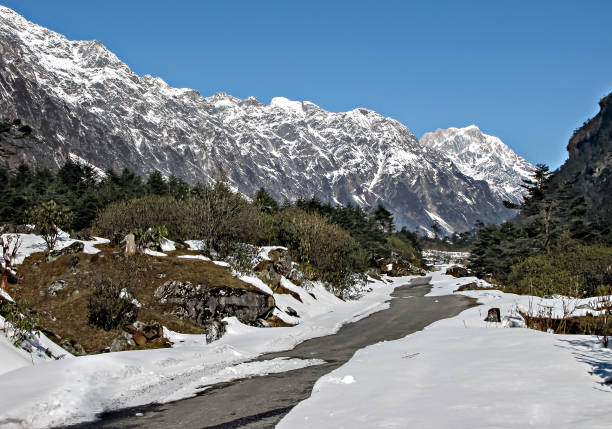 carretera cubierta de nieve hasta el punto cero en el valle de yumthang de gangtok, sikkim, india - sikkim fotografías e imágenes de stock