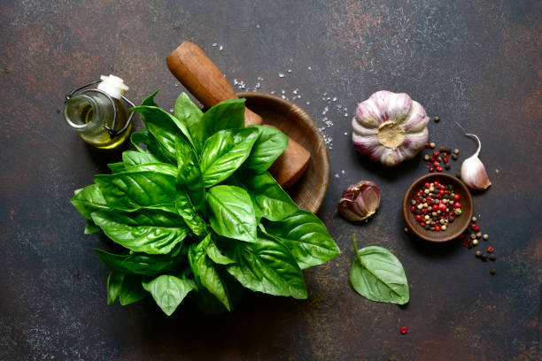 istock Traditional mediterranean spices : sea salt, basil, garlic, pepper. Top view with copy space. 1366619656