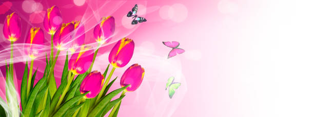 Creative spring photography
