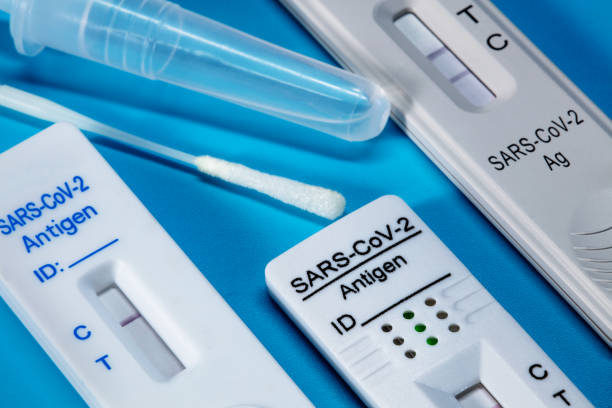 istock Antigen or rapid covid tests isolated on blue background. 1366620763