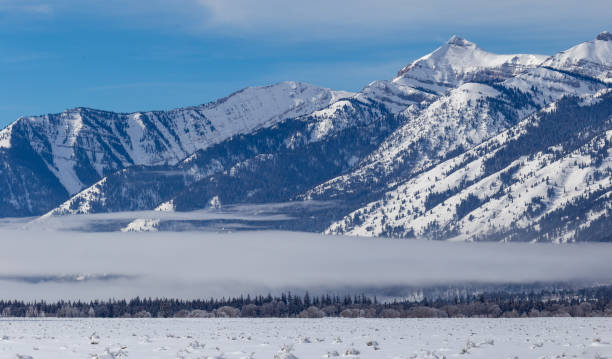 istock Alpine skiing at Jackson Hole, Wyoming 1366622414