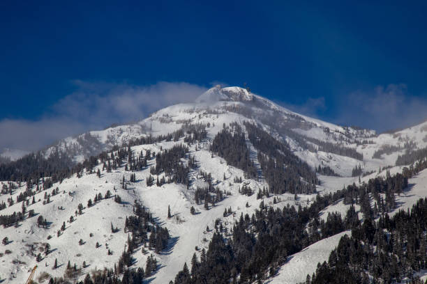 istock Alpine skiing at Jackson Hole, Wyoming 1366622964