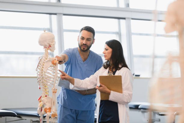 istock Male intern asks professor questions about human skeletal system 1366626219