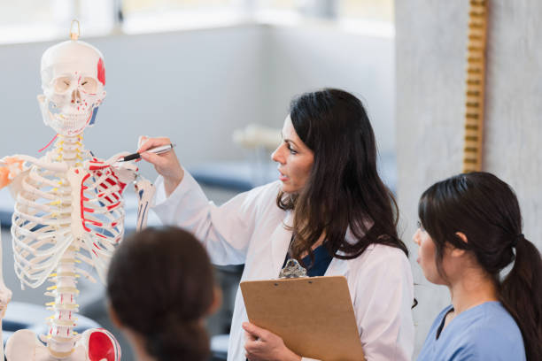 profesora señala el esqueleto humano mientras da conferencias a estudiantes de enfermería - anatomy classroom human skeleton student fotografías e imágenes de stock