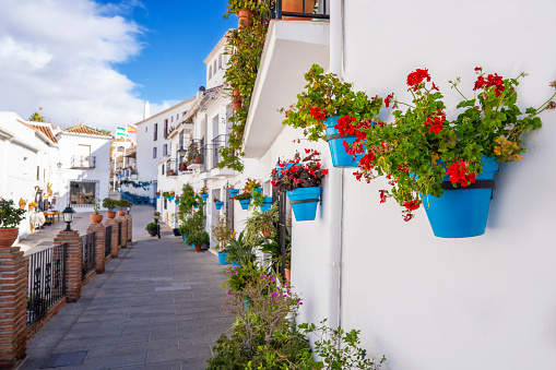 Mijas village flower pot detail in Costa del Sol beautiful Mediterranean white village whitewashed with flower pots in Malaga of Andalusia of Spain