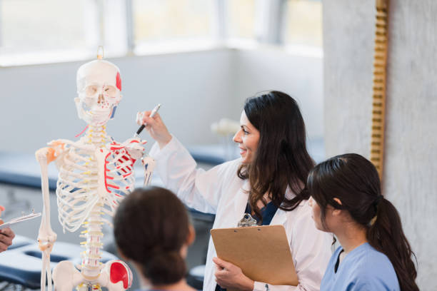 istock Teacher smiles and points to human skeleton during lecture 1366626386
