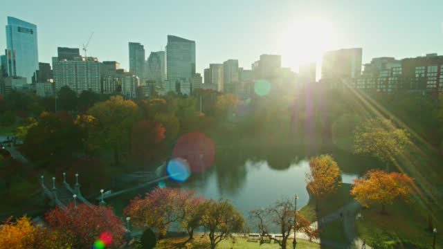 Drone shot of Boston Common at sunrise on a sunny morning in Fall. The rising sun is shining between the downtown buildings, creating dramatic lens flare.  
   
Authorization was obtained from the FAA for this operation in restricted airspace.
