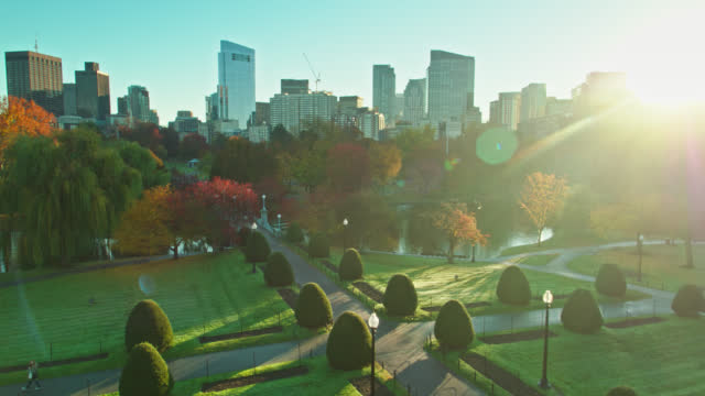 Boston Public Garden at Sunrise in Fall - Aerial