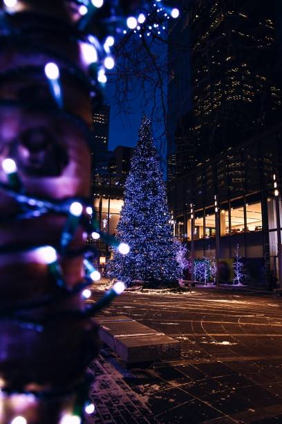 istock Holiday Decorations Illuminated At Night In Calgary 1366628993