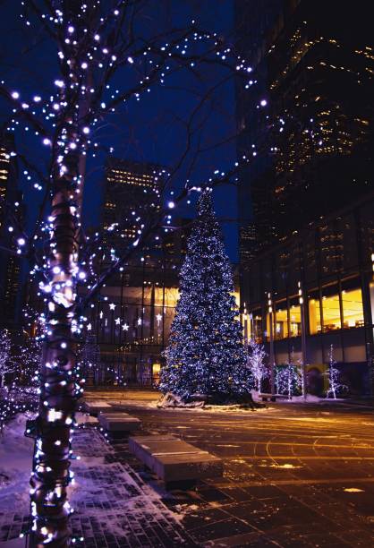 istock Christmas Decorations Illuminated At Night In Calgary 1366629015