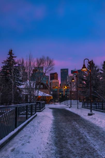 istock Snowy Walkway Through A Calgary Park 1366629995