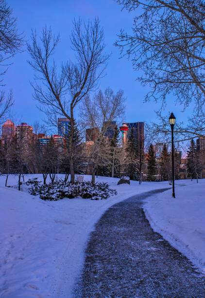 istock Walkway Through A Winter City Park 1366630018